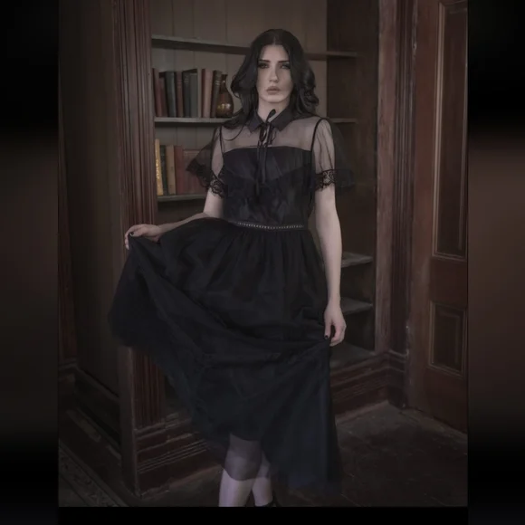 Elegant Black Sheer Dress - Picture 10 of 10